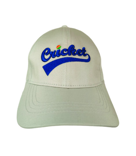 pale-grey-pure-cotton-baseball-cap-with-3d-cricket-embroidery-in-blue-1