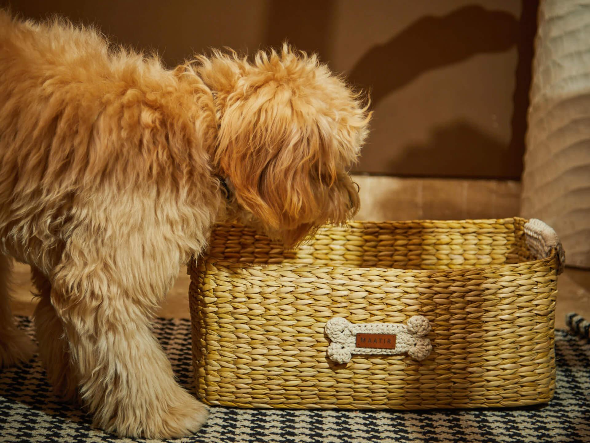 The Art of Basketry By Keya Mirani